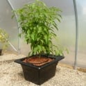 FLO-GRO 500 Complete Kit