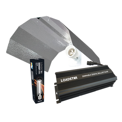 Loadstar 600W Light Kit