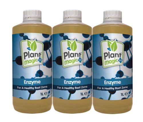 Plant Magic Enzyme