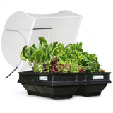 Vegepod Raised Gardens