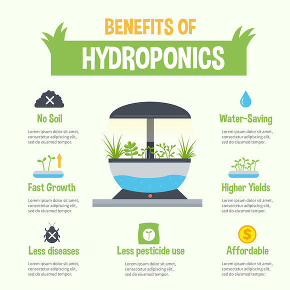 The Advantages of Hydroponics: Why You Should Consider This Growing Method