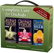 ORCHID CARE