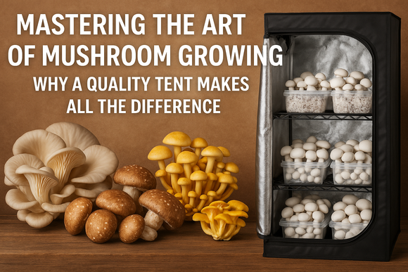 Mushroom Growing.