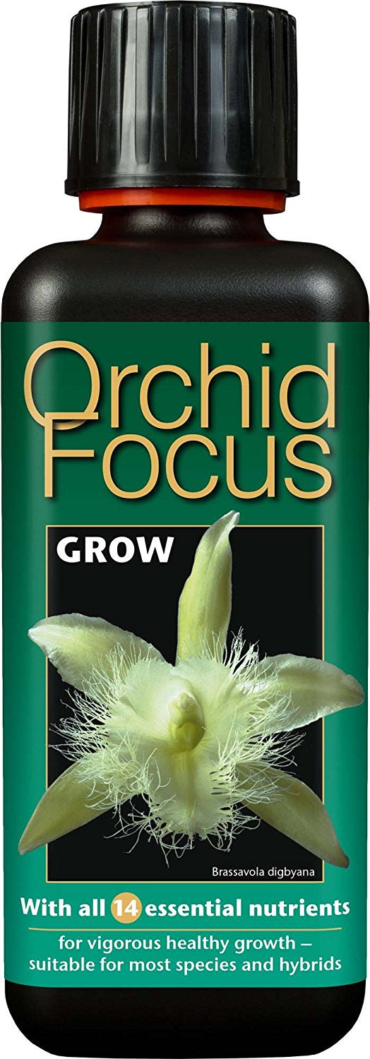 GT Orchid Focus Grow