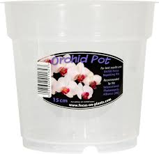 GT Clear Orchid Pots