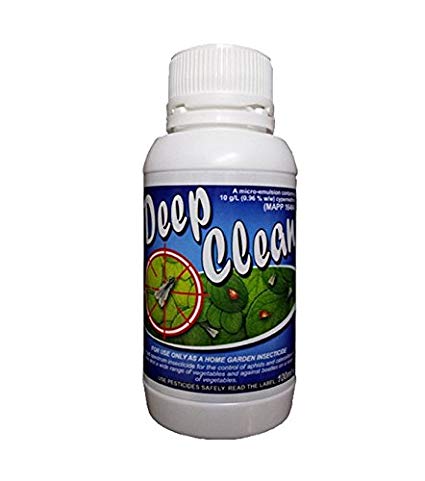 DEEP CLEAN Plant Care